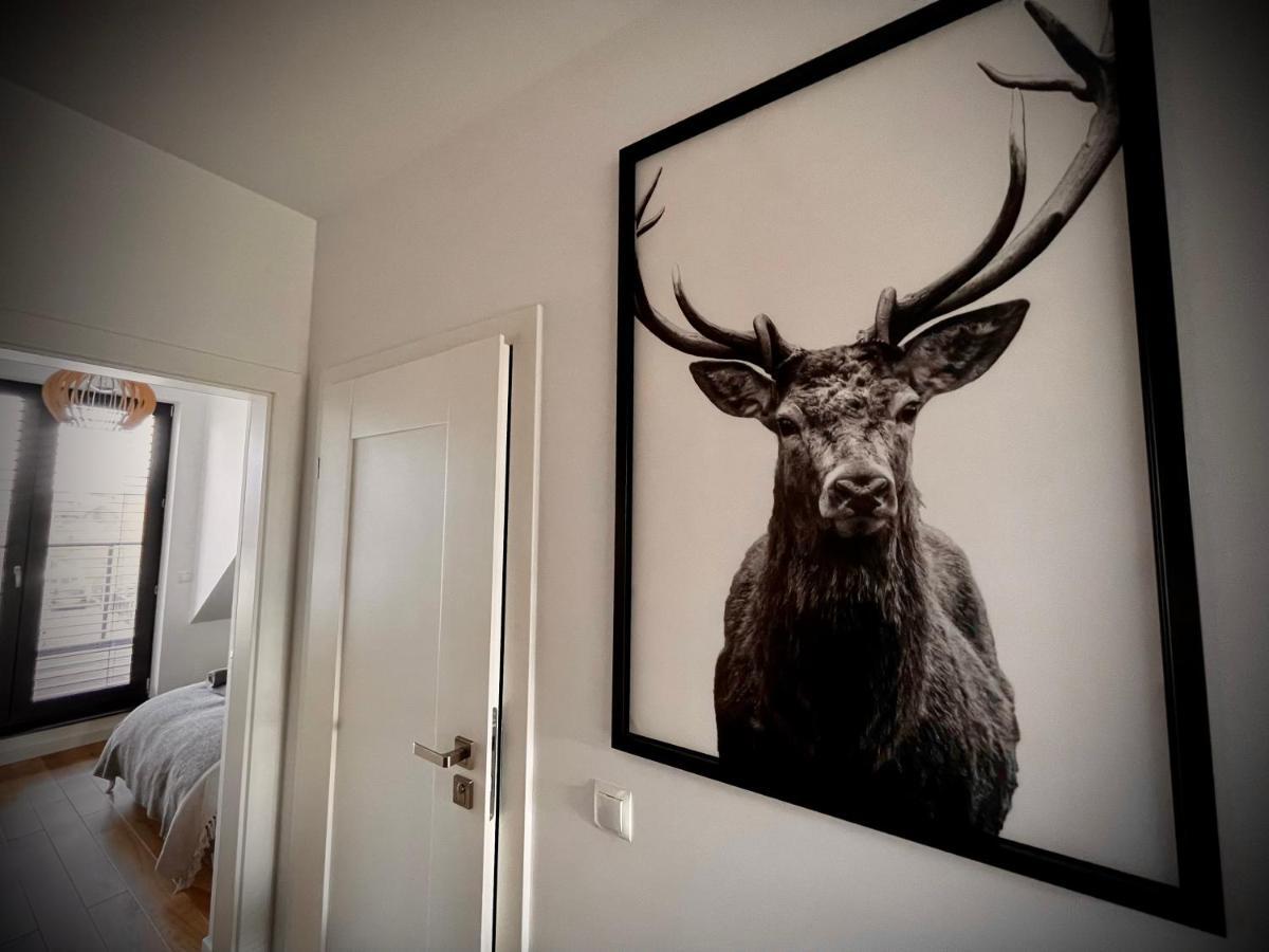 Lazy Deer - Apartamenty Єленя-Ґура Екстер'єр фото
